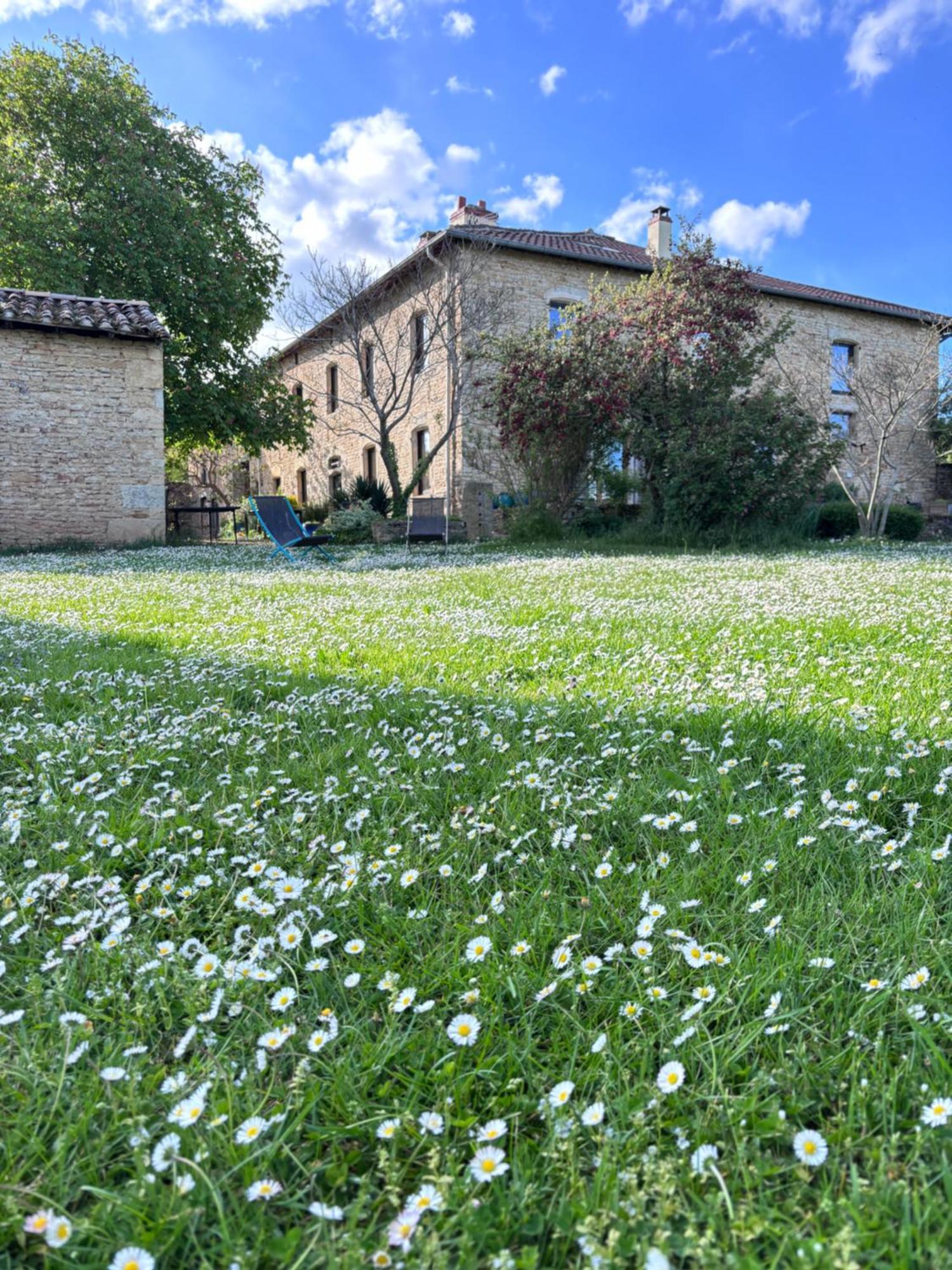 Domaine Du Vernay Mazille Eksteriør bilde